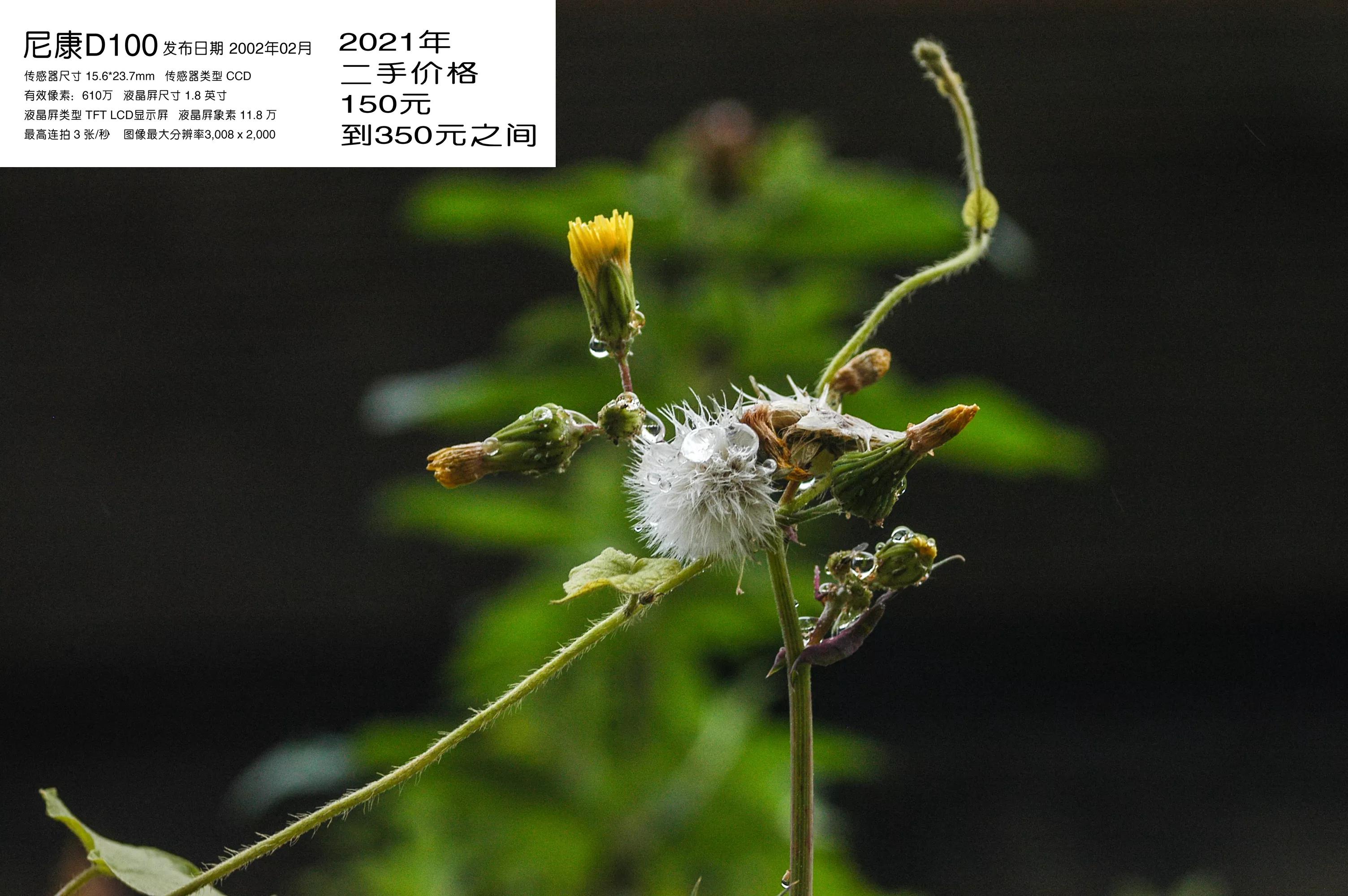 去学摄影花费2w到底值不值得,想学摄影不知道从哪里入手