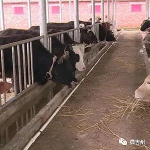 十大特点扶贫产品,第十七批全国扶贫产品名录