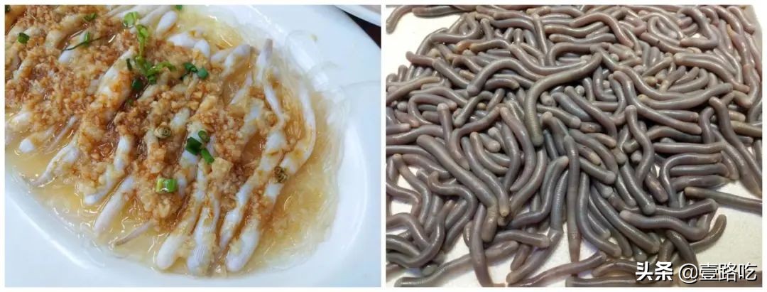 北海|报告！没遇到传销策划，只有吃不尽的海鲜美食