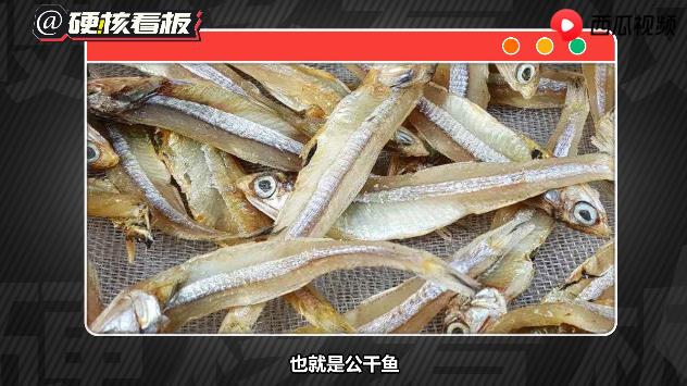 小辣鱼是什么,袋装小辣鱼视频