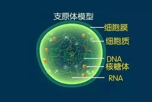 这些都很“冤枉”的性病里，到底哪一个最冤枉？