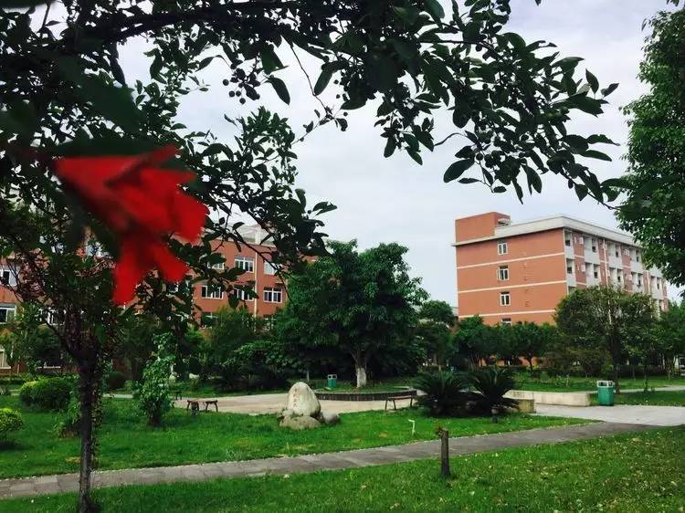 四川中专职业学校排名护理,四川省内中专卫校排名榜