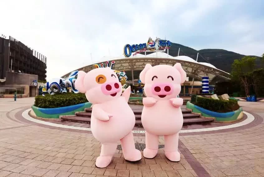 去香港看圣诞树攻略,香港中港城的圣诞树