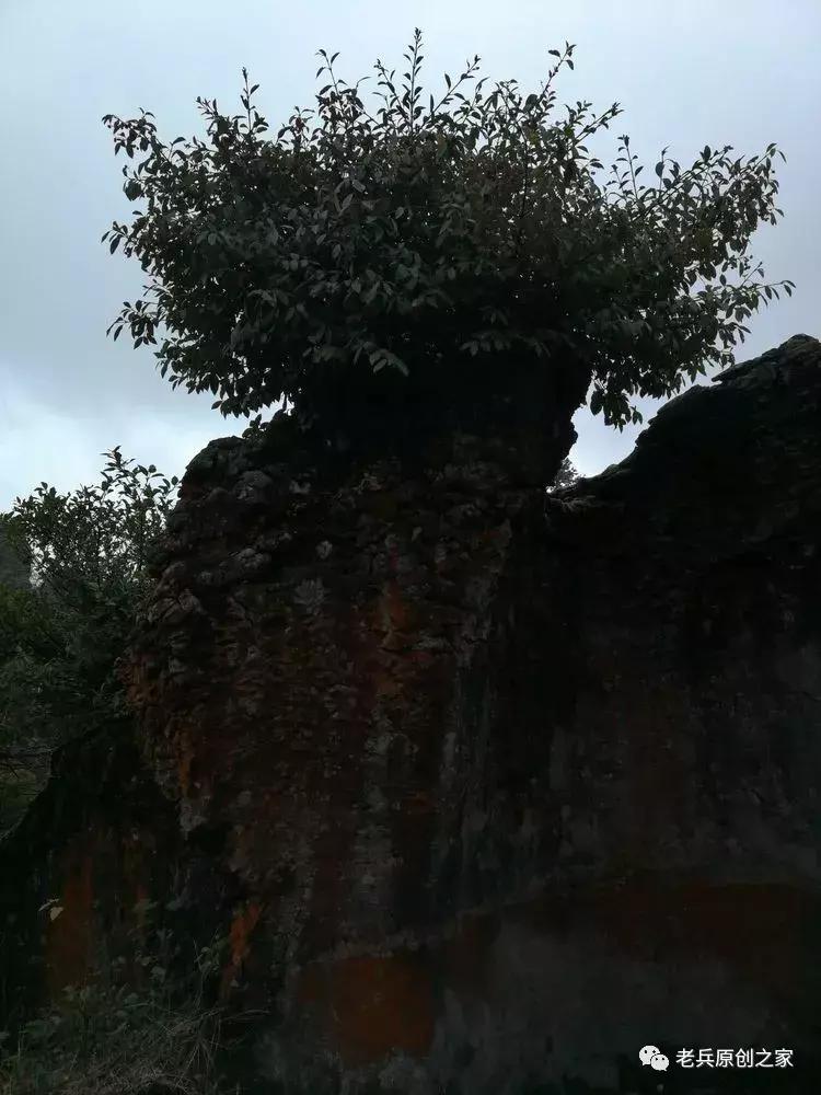 四川四大历史名山华蓥山,华蓥山名山