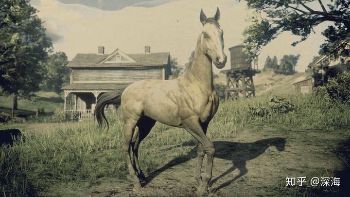 荒野大镖客救赎2新手攻略,荒野大镖客救赎2怎么获取白马