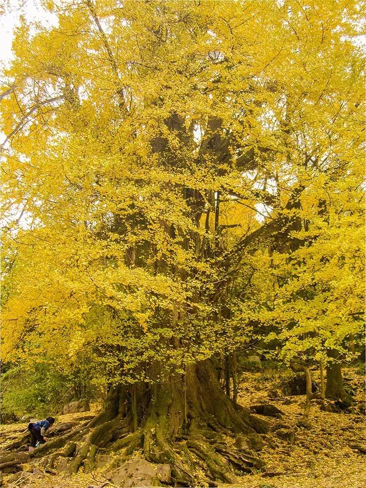 全国最宝藏的省,中国宝藏最多的省份