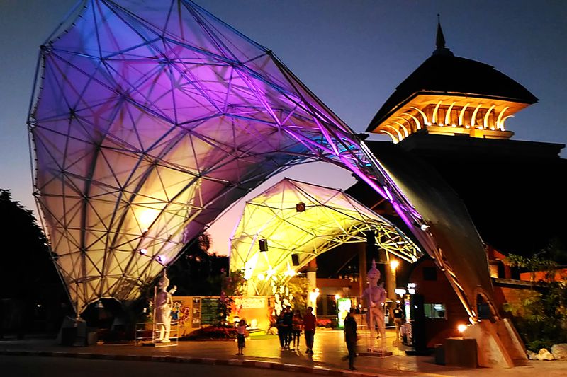 清迈夜间动物园珍稀动物魅力无限,清迈动物园参观