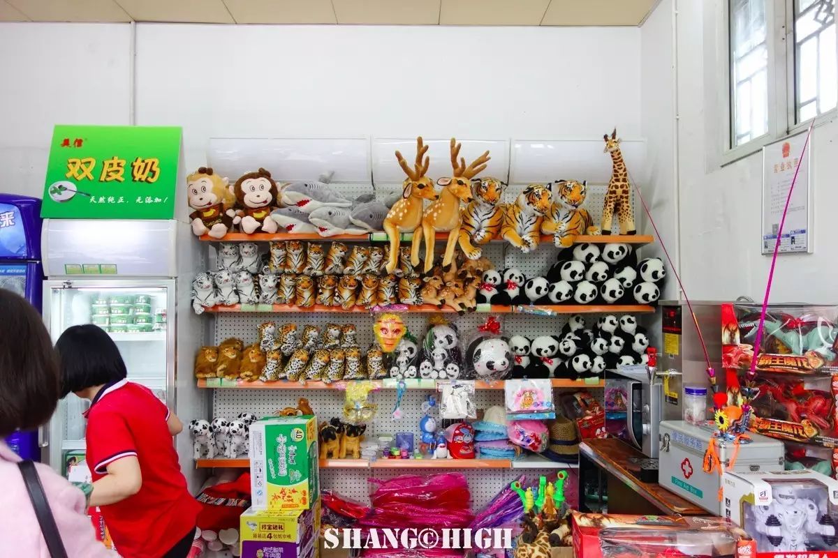 记者探访广州动物园,动物园观察动物