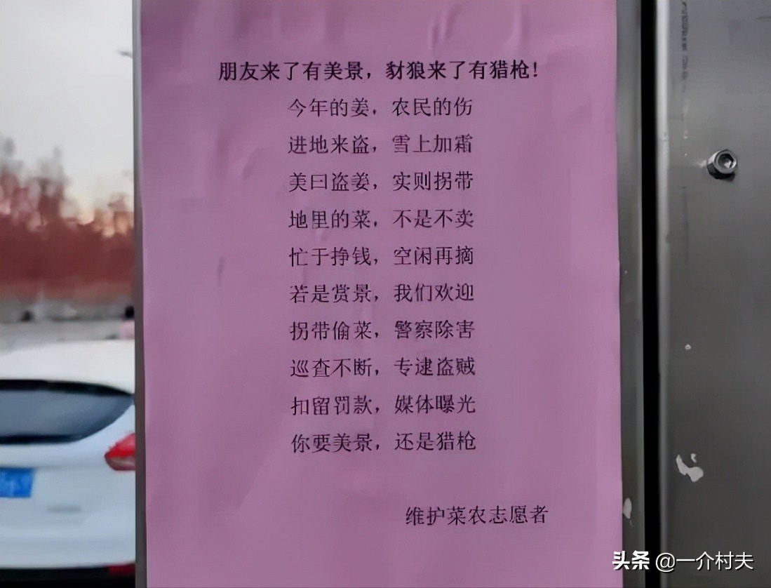 城里退休老人组团进村“偷菜”，菜农无奈！网友：停发退休金