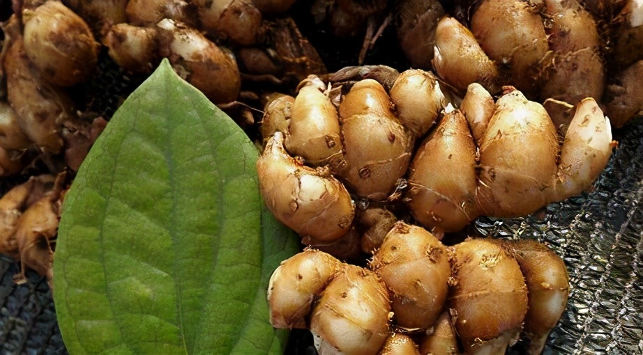 沙姜鸡,沙姜猪手做法