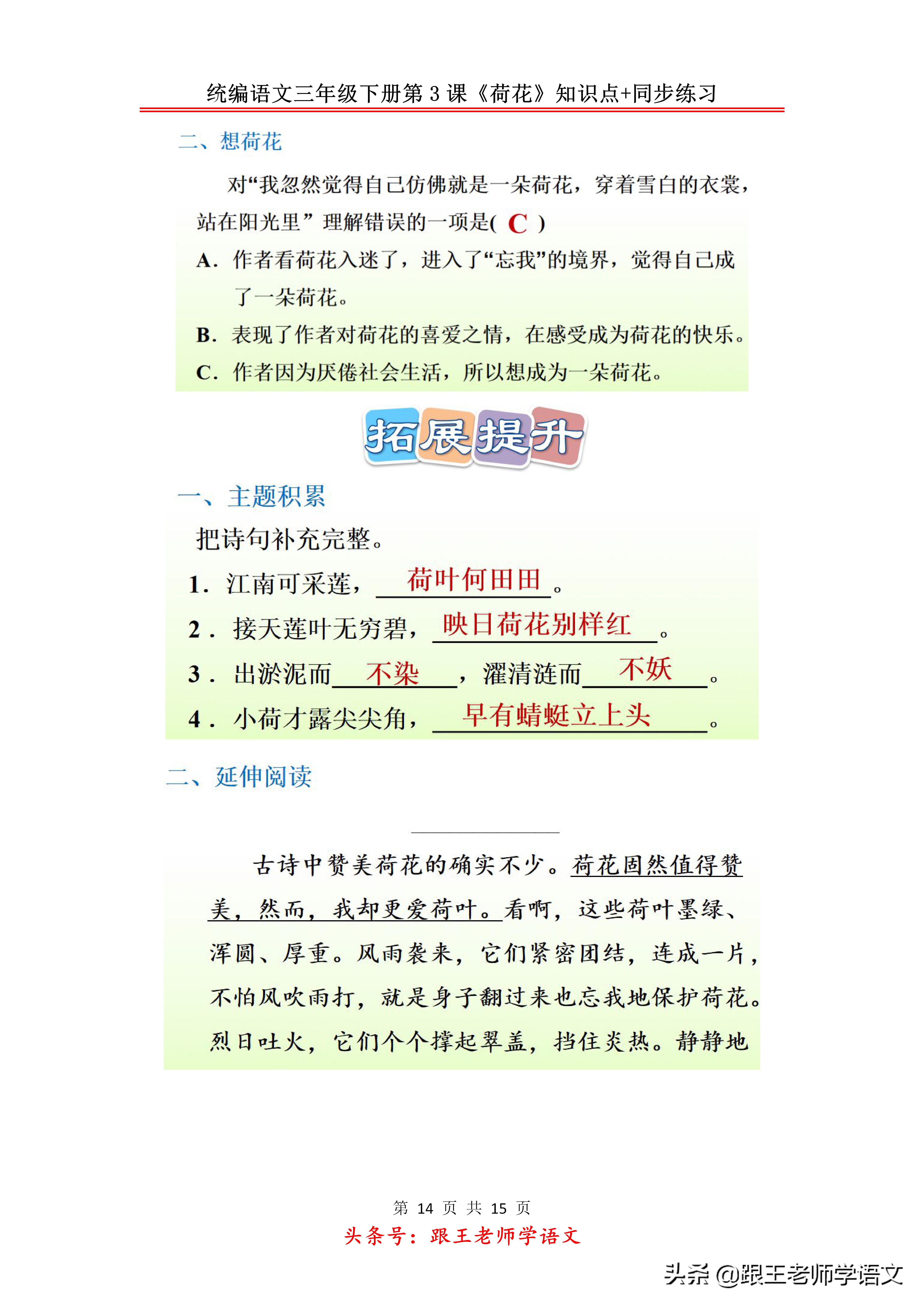 三年级下册荷花2到4自然段的段意,部编教材三年级下册荷花教学视频