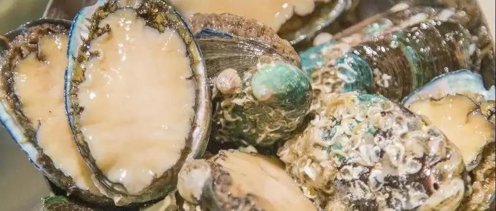 鑸屽皷涓婄殑缇庨娣卞害涔嬫梾,甯︿綘浜彈鑸屽皷涓婄殑缇庨