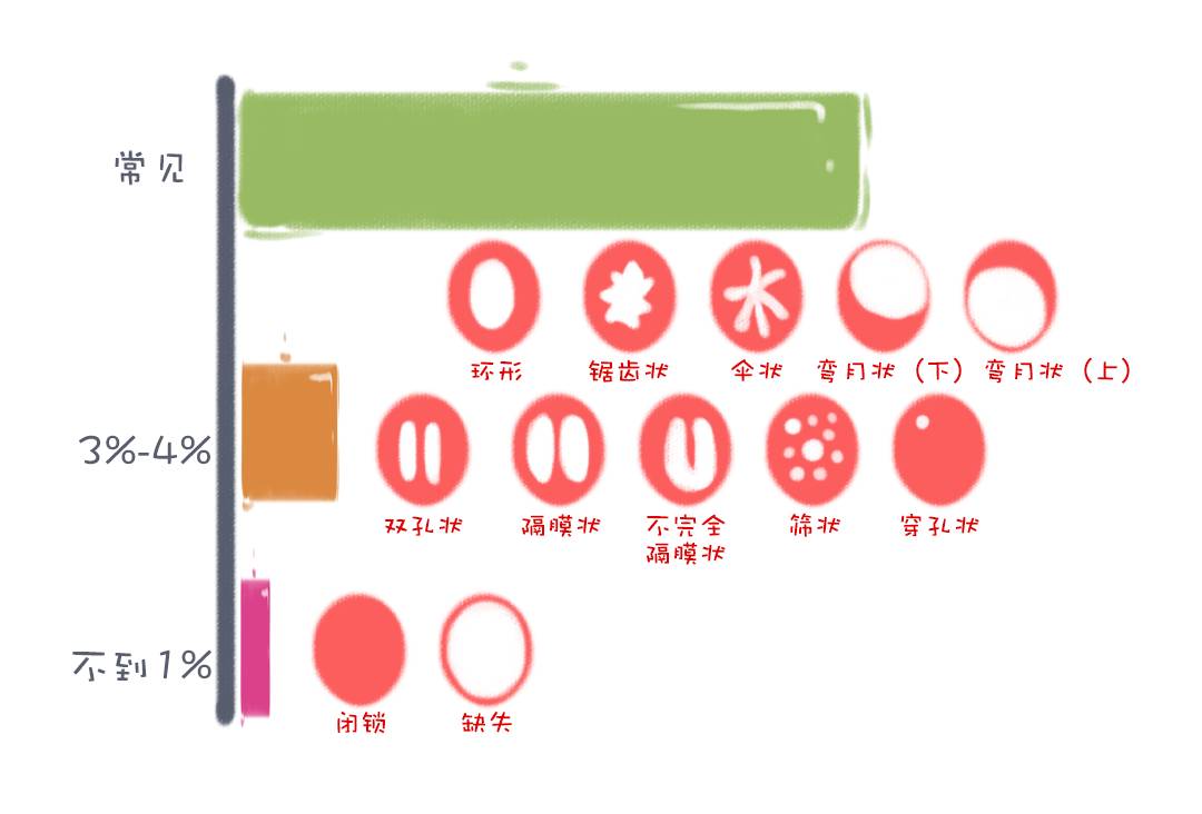 浅谈*不五**女，“螺纹鼓角脉”