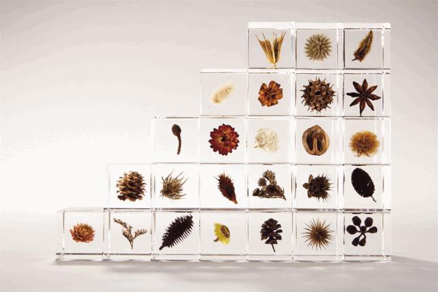 杭州国际时装周什么时候开始,杭州国际时装周视频