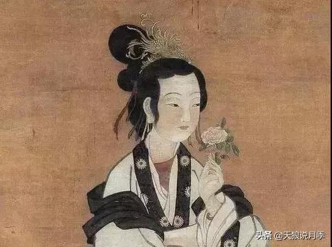 古老月季的魅力,40种中国古老月季