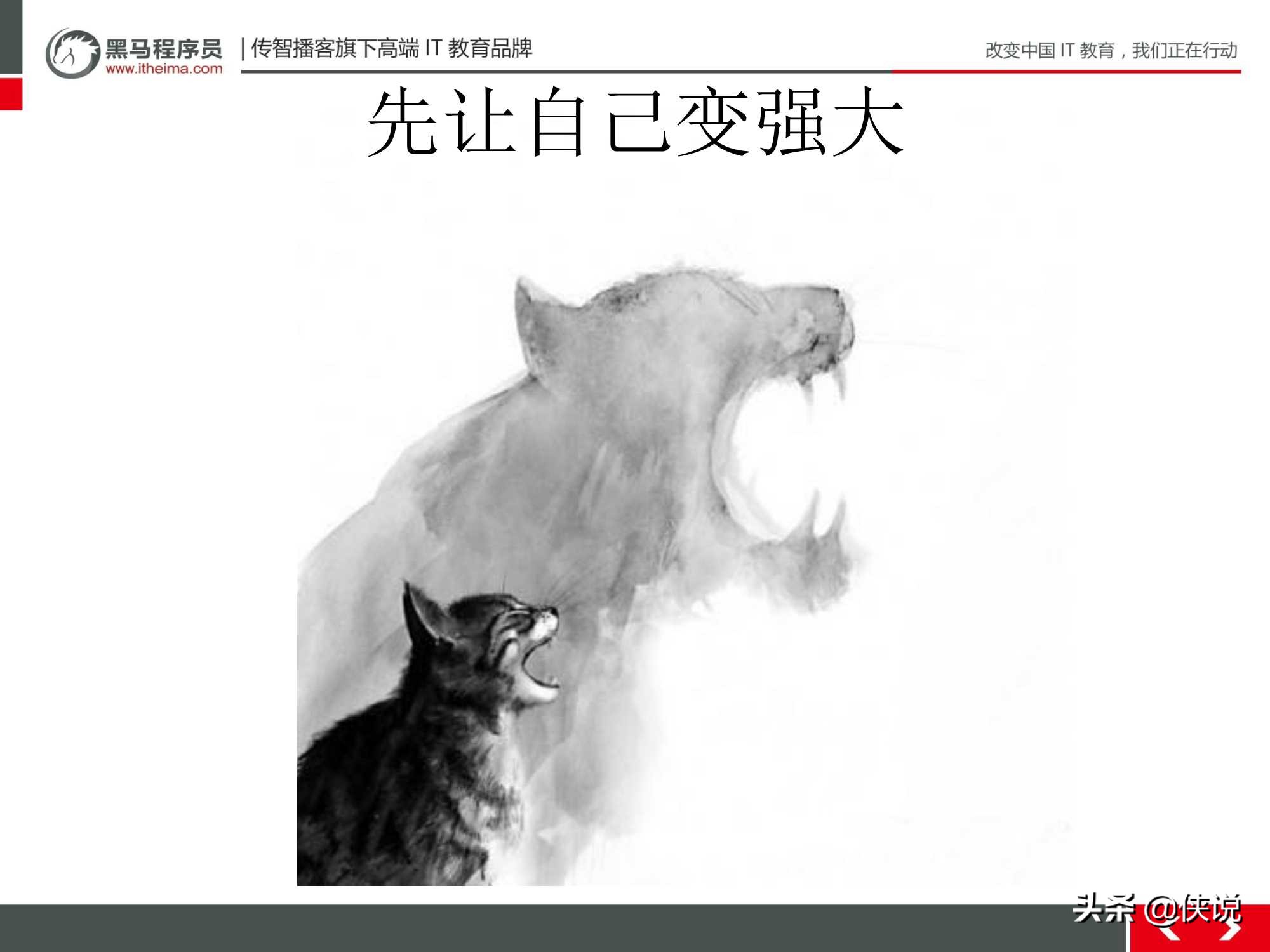 新手小白零基础店铺运营,小白电商运营学习