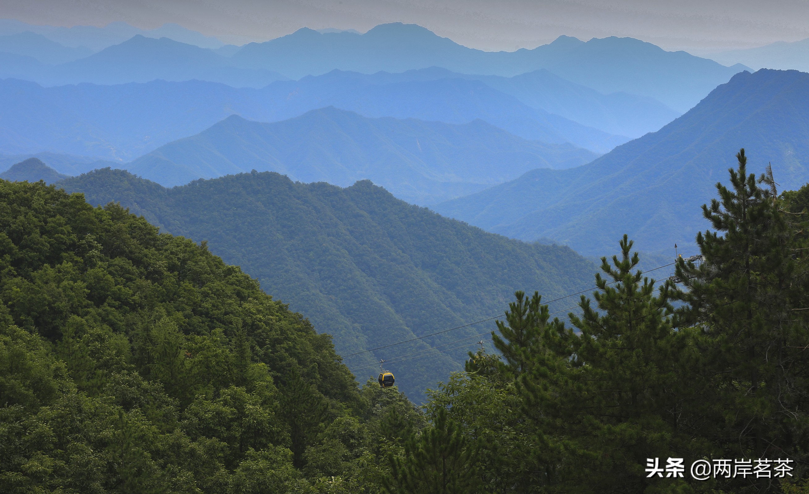 再看白云山，看山不是山，它是一本百读不厌的百科全书