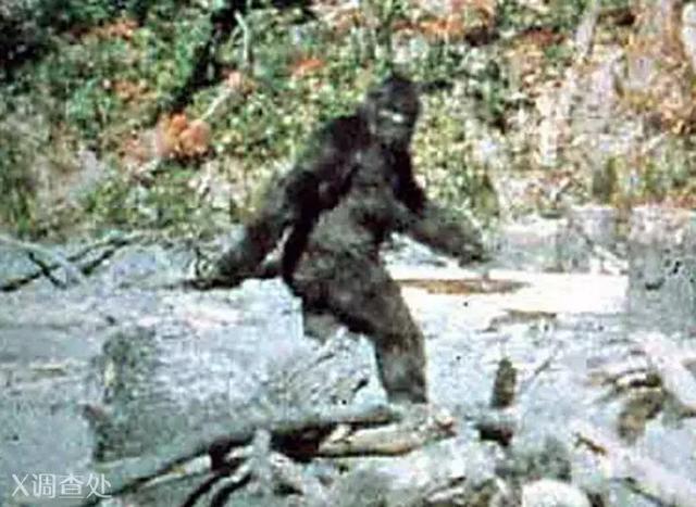 世界凶杀案未解之谜,世界未解之谜秦始皇