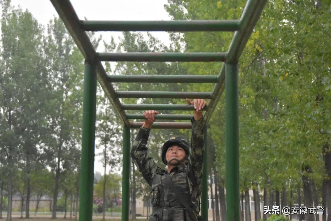 犟人的视频,犟人