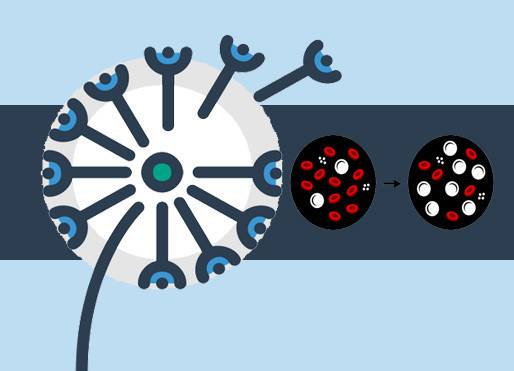 方便面垃圾食品为什么不可以多吃,方便面是垃圾食品还是健康食品