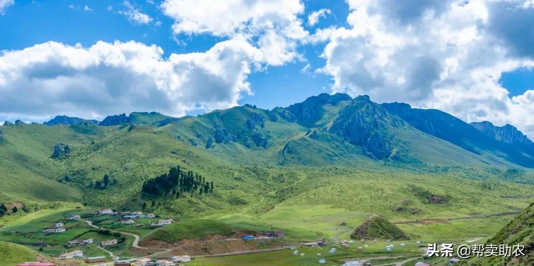 水果中脂肪含量高的水果,低糖高纤维的水果