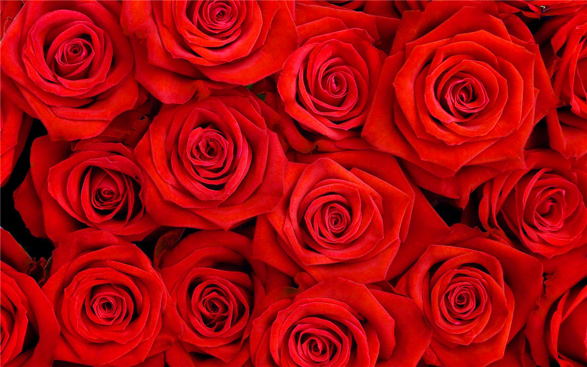 解析《七年之痒》：在亲密关系中，当道德与欲望冲突时，该怎么办