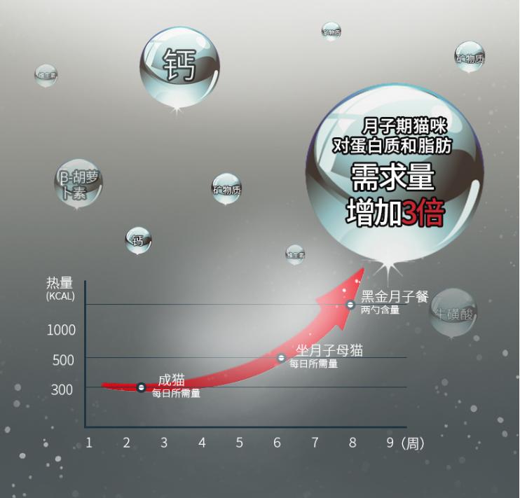 猫咪坐月子怎么补奶水多,猫咪坐月子吃什么下奶快