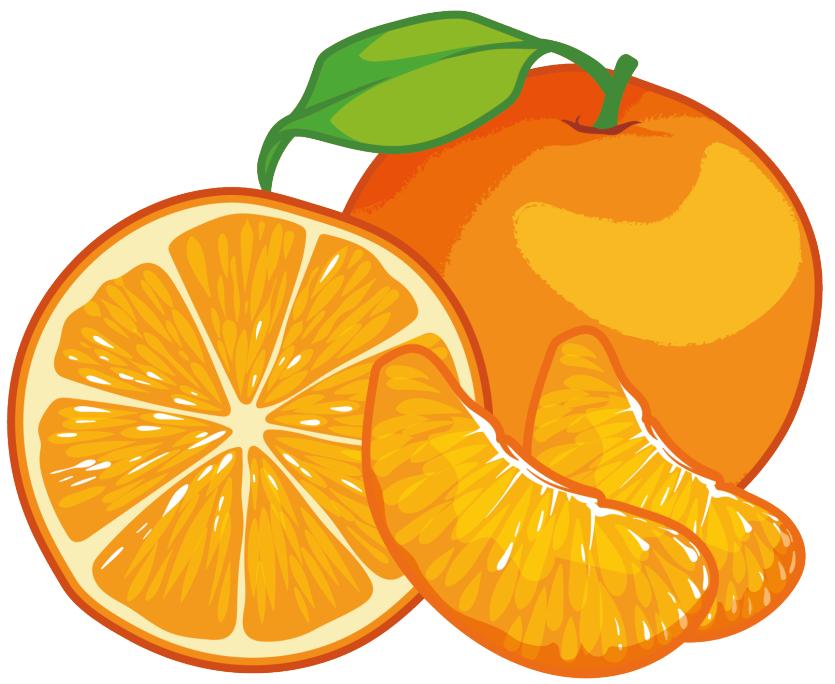 桔子和橘子到底哪个是橘子,桔子和橘子为什么有两种说法