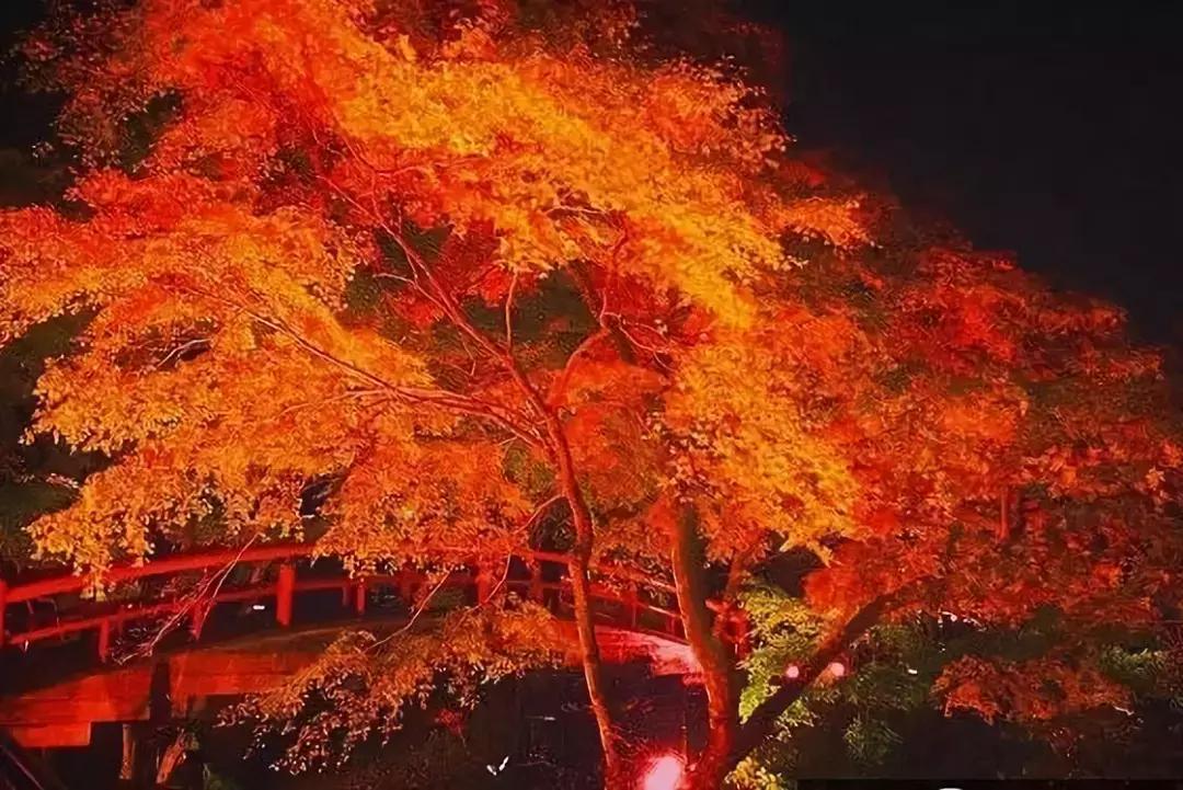 伊香保温泉视频,伊香保温泉天坊酒店