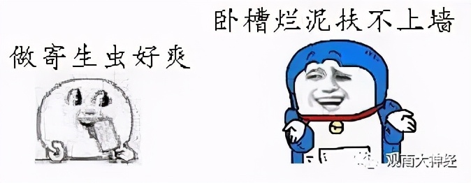 回忆2016，西方民主崩溃元年