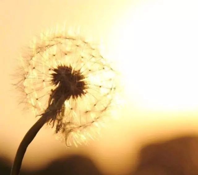 人生和电影一样都是以余味为标准,人生与电影一样都是以余味定输赢