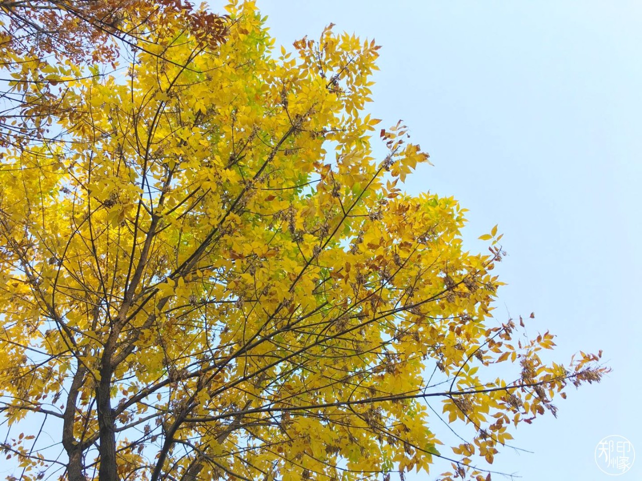 郑州漂亮的秋色风景,郑州的这些湖畔藏着最美的秋色