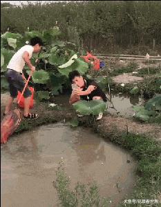 这只鹦鹉一直以为他是一只猴，所以每天都在重复做这个动作