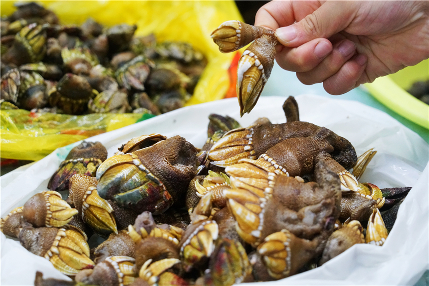 嵊泗列岛的梭子蟹很棒,浙江象山石浦码头梭子蟹