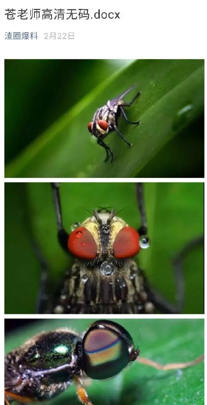 愚人节十大套路排行榜,愚人节套路哪个最厉害