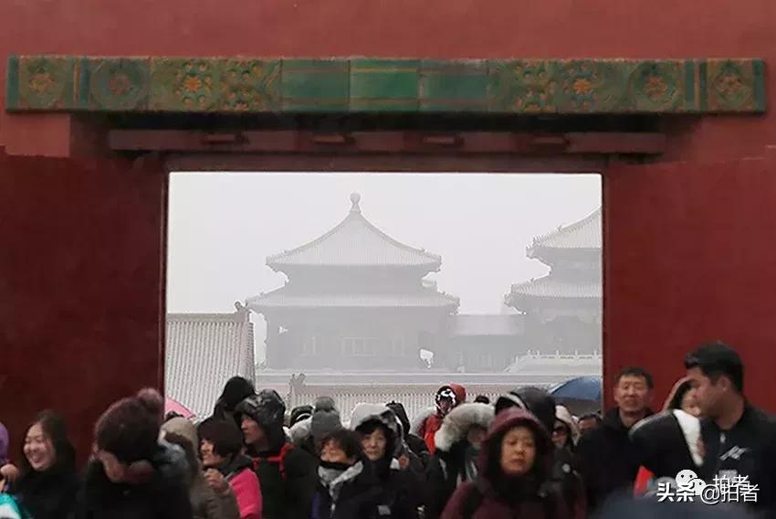 北京迎初雪9只熊猫,北京喜迎初雪去北京动物园看熊猫