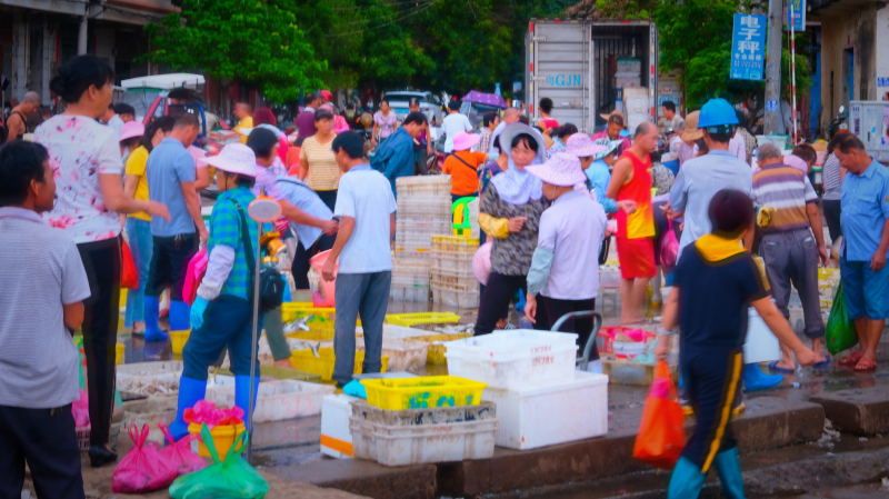 广东湛江景点及美食攻略,广东游记湛江市最美味的海鲜