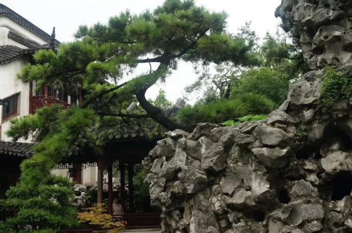 怪异的奇石,怪异奇石风景图片