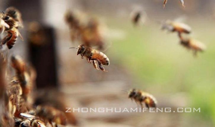 话说江南秋繁那些事儿