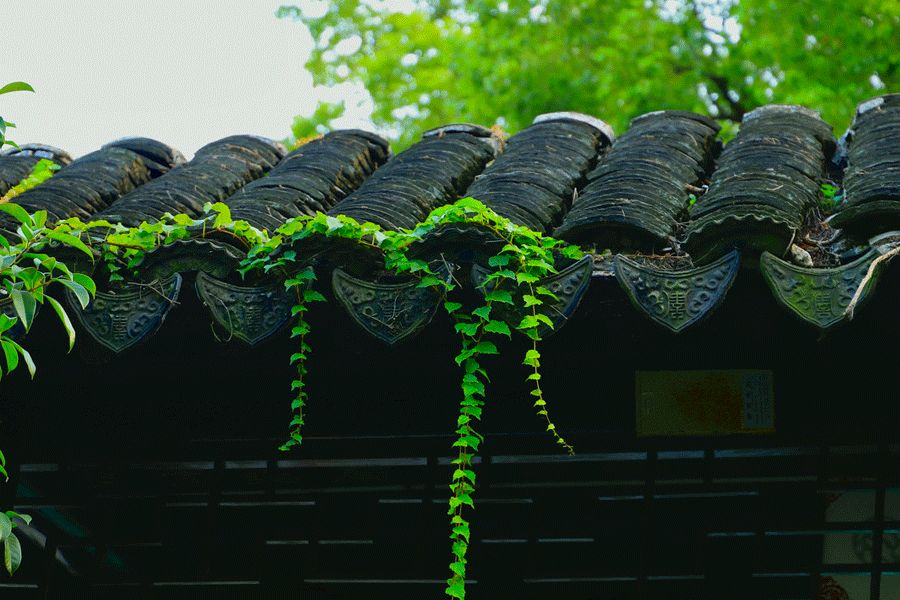 庄子经典语录君子之交淡如水,庄子曾说君子之交淡如水