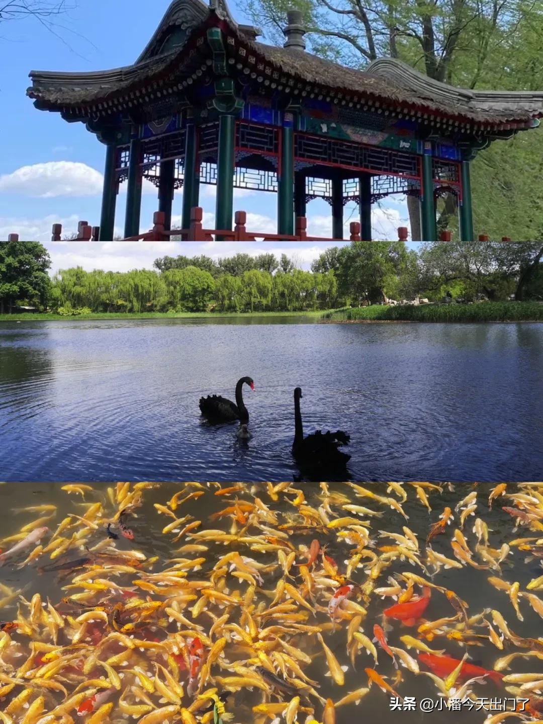 北京旅游五日游推荐,去北京旅游六日游攻略