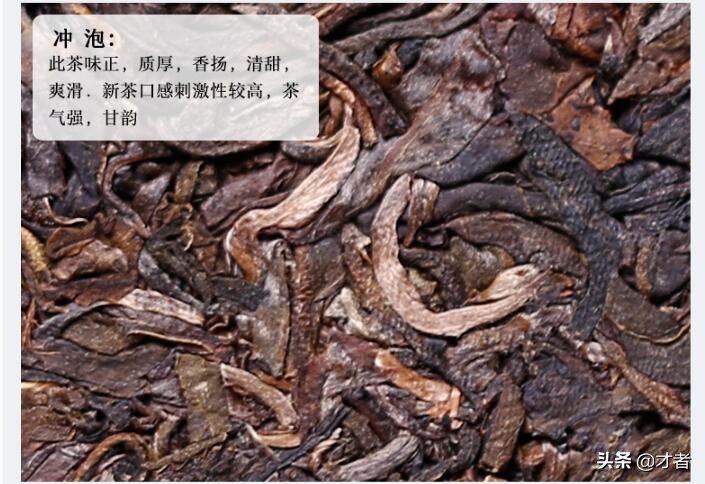 云南普洱生茶茶饼四泡,陈皮普洱茶饼干的正确泡法步骤