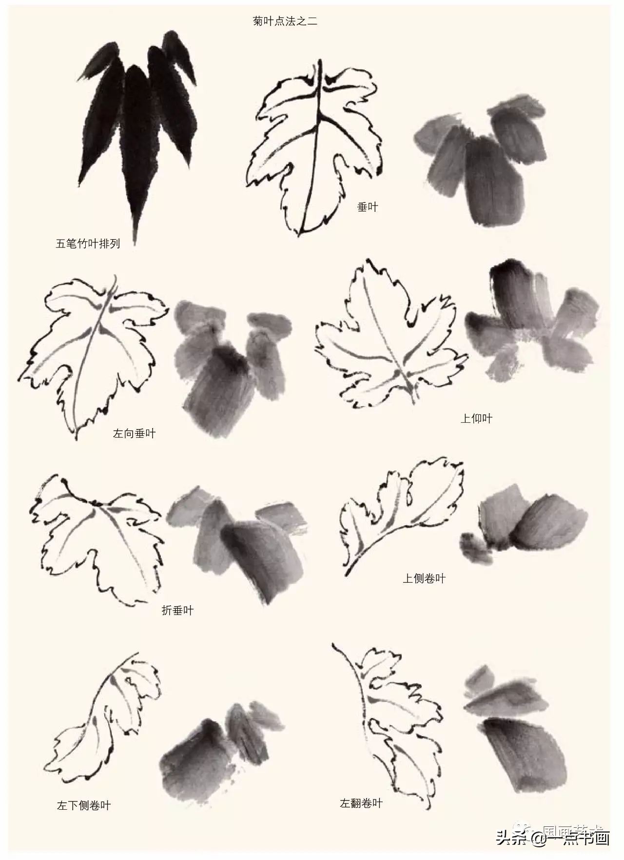 菊花画法教程简笔画,菊花拟人画法