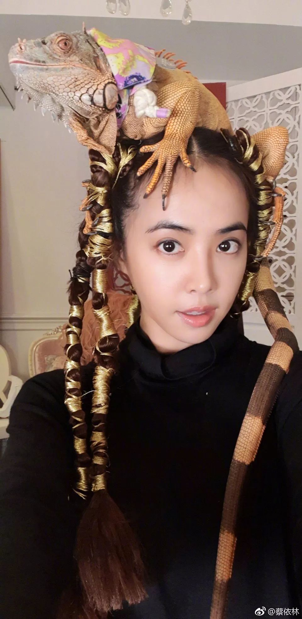 6款狐系眼妆,深邃迷人的眼妆教程赶快学起来呀