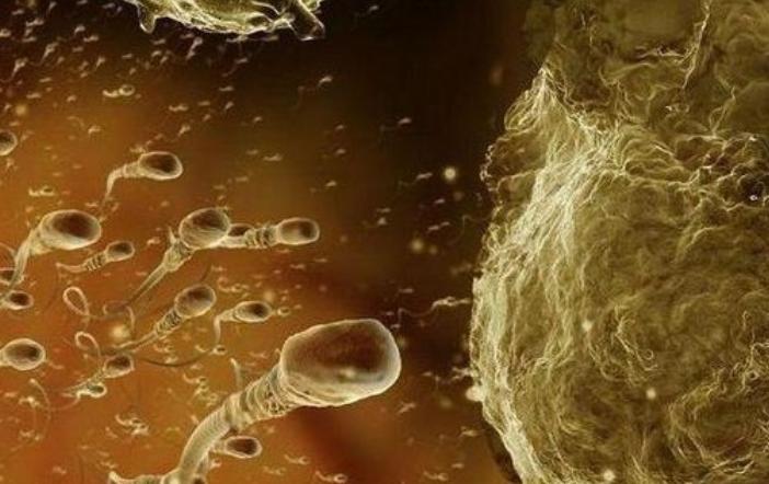 从排卵开始到生出孩子需要多少周,从排卵到有胎心要多少天