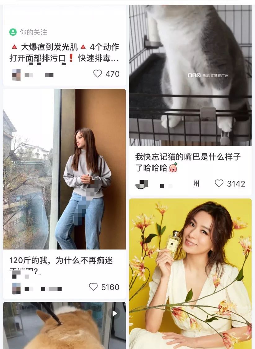 小红书代写有什么后果,小红书代写风波