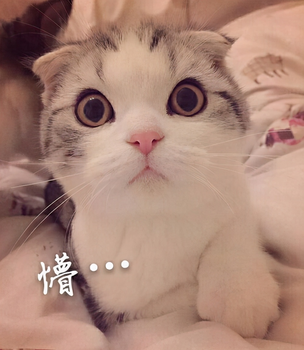 没有那么硬的机械键盘,悬浮式机械键盘好吗