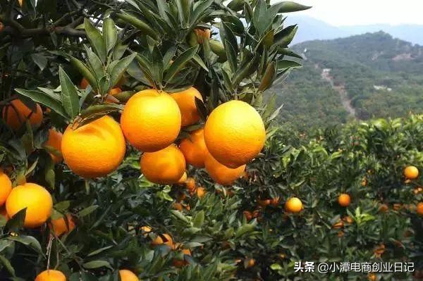 电商店群铺货模式技巧,如何看待电商的店群玩法