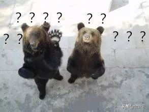 cpa考试最后一天,cpa考试心得