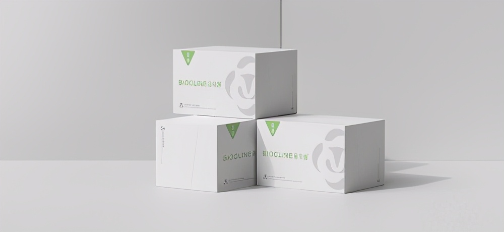 V美私密旗下医学私护新品蓓可丽亮相厦门海丝之路盆底高峰论坛会